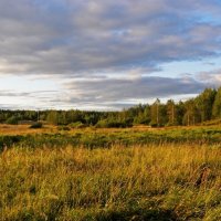 Уральская осень. :: Андрей Ярославцев