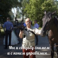 видеограф :: Николай Добровольский