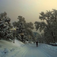 Вечер в зимнем парке :: Игорь Сарапулов
