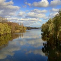 Первые заморозки :: Сурушкин 