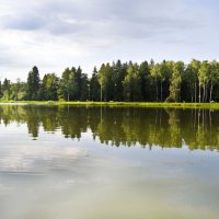 Озеро в Краснознаменске :: Галина Мещерякова