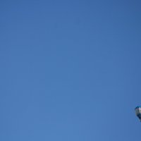 Воздушный шар в Туле. :: Roman Fyodorov 
