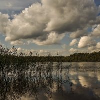 Озеро в районе Карельского перешейка :: Лана Дмитриева