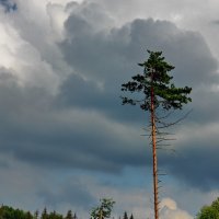 &quot;В одиночестве&quot; :: Тамара Бучарская