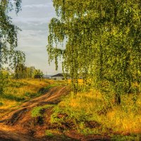 На деревенских &quot;задках&quot; :: Олег Сонин