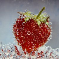 strawberry bubbles :: Дмитрий Каминский
