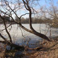 Царское Село. Апрель :: Наталья Герасимова