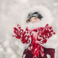 Снежок :: Валерий Михневич