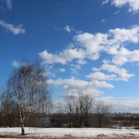 Последний снег :: Галина Козлова 