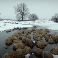 У Чёрной речки! :: Владимир Шошин