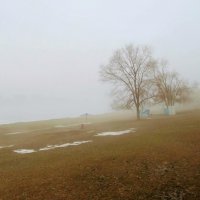апрель,пляж,туман :: Елена Шаламова