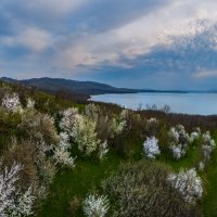 Сенгилеевское озеро в апреле :: Фёдор. Лашков