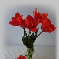 Красные тюльпаны... :: Galina Dzubina