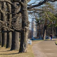 В парке "Александрия". :: Григорий Евдокимов