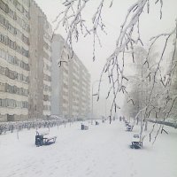 зима вернулась... :: александр дмитриев 
