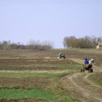 "Весна прийшла. Знову поля...знову ж селянські турботи" :: Ростислав Кухарук