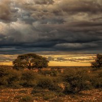 Небо Африки :: svabboy photo