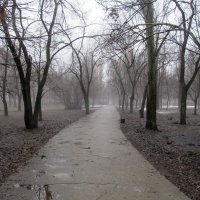 апрель,парк,дождь :: Елена Шаламова
