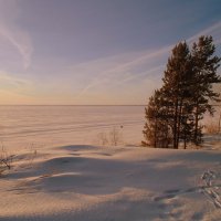 В вечереющем марте на берегу . :: Мила Бовкун