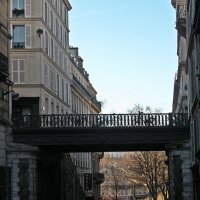 Зимний Париж! Мосты должны  объединять! :: Виталий Селиванов 