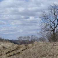 Апрель :: Роман Пацкевич