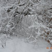 Речка не замёрзла. :: Виктор Васильевич Баландин