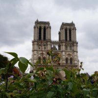 Notre Dame de Paris..... :: Алёна Савина