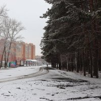 Опять зима ... :: Татьяна Котельникова
