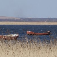 Картинки с Калининградского залива :: Маргарита Батырева