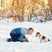 Мы с тобой одной крови- ты и я :: Наталья Мячикова