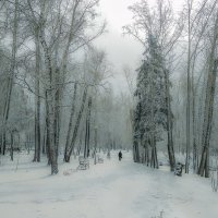 Снежный Апрель :: Сергей Добрыднев
