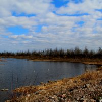 По пути к форту Северный. Кронштадт. :: Фёкла 