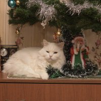 Снегурка и Дед Мороз :: Сергей Никитин