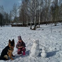 Последний снеговик :: Светлана Петошина