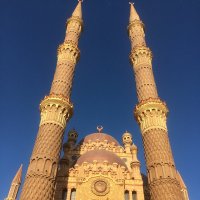 Мечеть Аль-Сахаба :: Tatiana Kretova