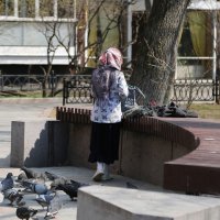 Девочка и голуби :: ZNatasha -