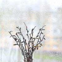 Весенний дождик :: Наталья Казанцева