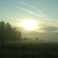 Утренний туман... :: Павел Портнягин