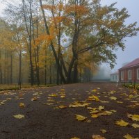 Туман :: Владимир Колесников