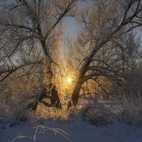 Зимний закат :: Владимир Ефимов