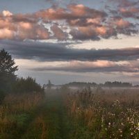 Утренняя свежесть. :: Александр Тулупов