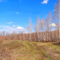 И вот уже апрель к концу подходит... :: Андрей Заломленков