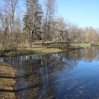 Александровский парк. Апрель :: Наталья Герасимова