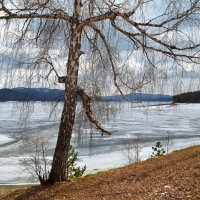 Апрель на Красноярском водохранилище :: Татьяна Соловьева