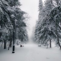 Снежный Апрель :: Сергей Добрыднев