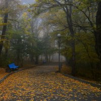 Осеннее утро...... :: Юрий Цыплятников