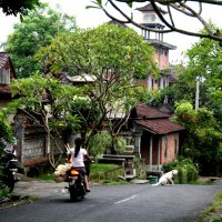 Деревня на Бали :: Любовь 