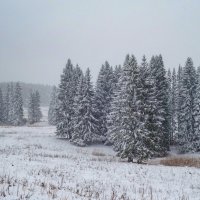 Апрельский снегопад :: Алексей Сметкин