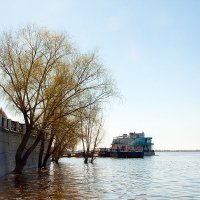 В контровом свете :: Виктор Замулин