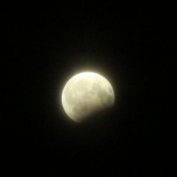 Moon :: Юлия Александрова